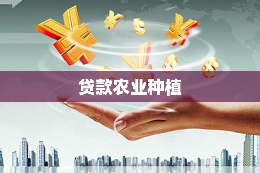 民丰贷款农业种植