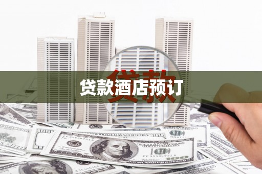 民丰贷款酒店预订
