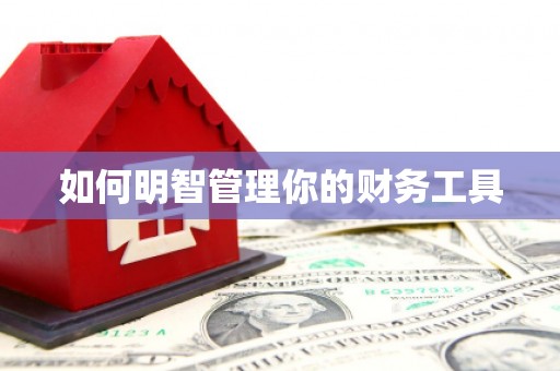 民丰如何明智管理你的财务工具