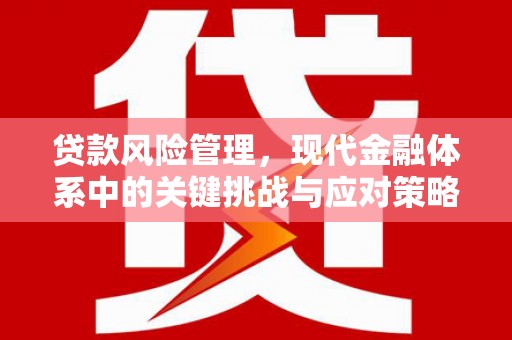 民丰贷款风险管理，现代金融体系中的关键挑战与应对策略