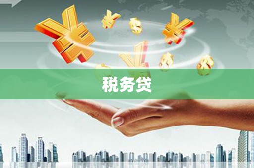 民丰税务贷