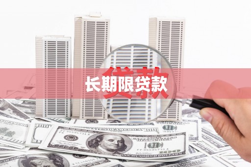 民丰长期限贷款