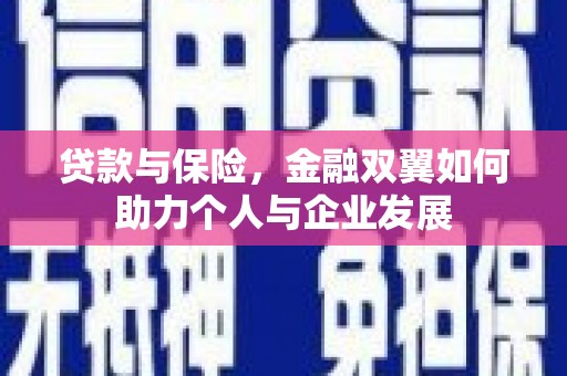 民丰贷款与保险，金融双翼如何助力个人与企业发展