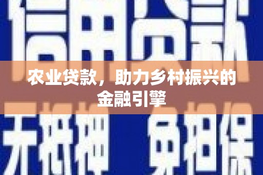 民丰农业贷款，助力乡村振兴的金融引擎