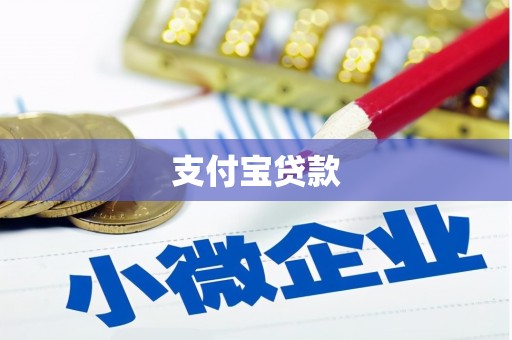 民丰支付宝贷款