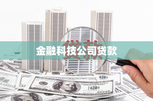 民丰金融科技公司贷款