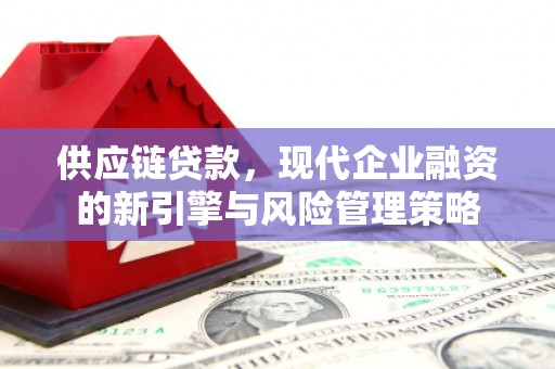 民丰供应链贷款，现代企业融资的新引擎与风险管理策略