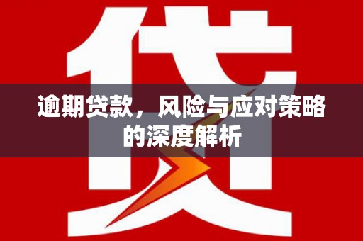 民丰逾期贷款，风险与应对策略的深度解析