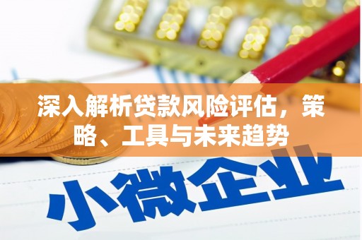 民丰深入解析贷款风险评估，策略、工具与未来趋势