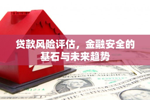 民丰贷款风险评估，金融安全的基石与未来趋势