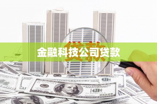 民丰金融科技公司贷款