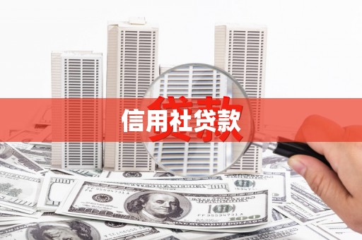 民丰信用社贷款