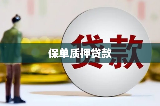 民丰保单质押贷款