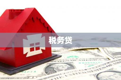 民丰税务贷