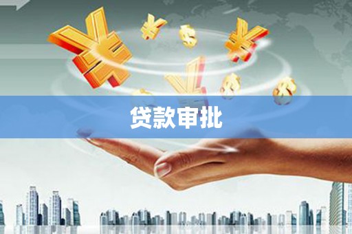 民丰贷款审批