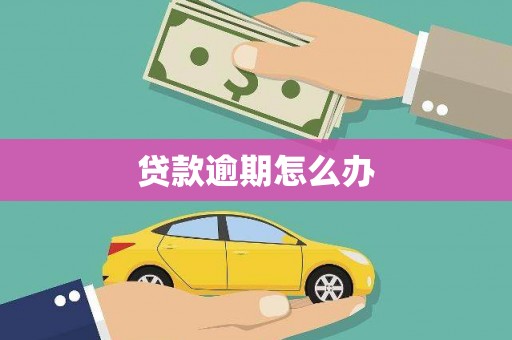 民丰贷款逾期怎么办