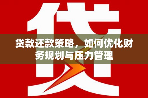 民丰贷款还款策略，如何优化财务规划与压力管理
