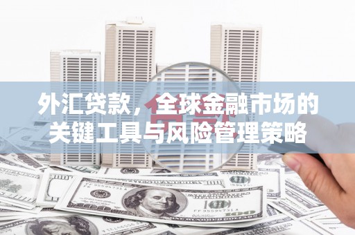 民丰外汇贷款，全球金融市场的关键工具与风险管理策略