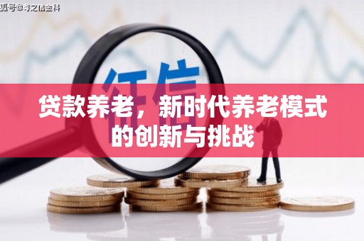 民丰贷款养老，新时代养老模式的创新与挑战
