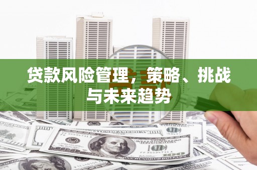 民丰贷款风险管理，策略、挑战与未来趋势