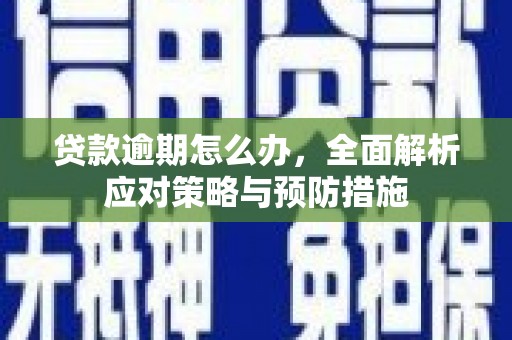 民丰贷款逾期怎么办，全面解析应对策略与预防措施