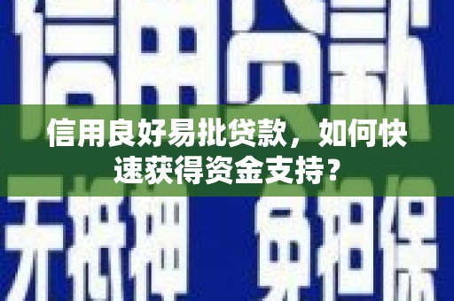 民丰信用良好易批贷款，如何快速获得资金支持？
