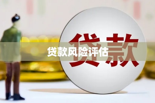 民丰贷款风险评估
