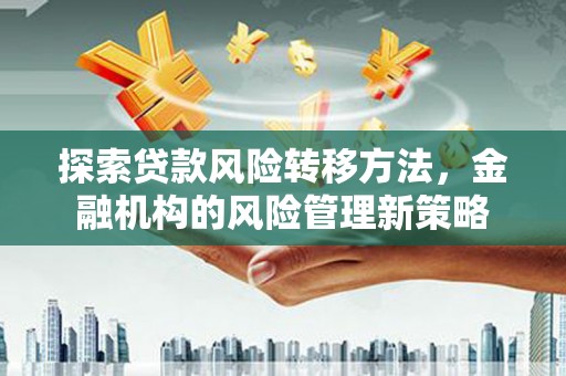 民丰探索贷款风险转移方法，金融机构的风险管理新策略
