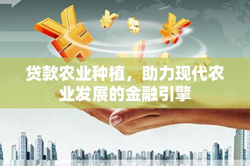 民丰贷款农业种植，助力现代农业发展的金融引擎