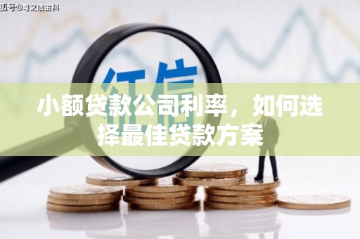 民丰小额贷款公司利率，如何选择最佳贷款方案