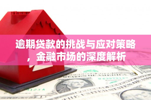 民丰逾期贷款的挑战与应对策略，金融市场的深度解析