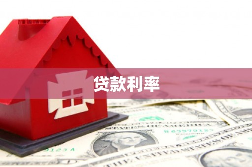 民丰贷款利率