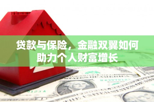 民丰贷款与保险，金融双翼如何助力个人财富增长