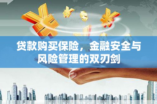 民丰贷款购买保险，金融安全与风险管理的双刃剑