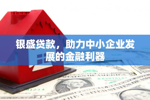 民丰银盛贷款，助力中小企业发展的金融利器