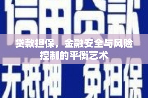 民丰贷款担保，金融安全与风险控制的平衡艺术