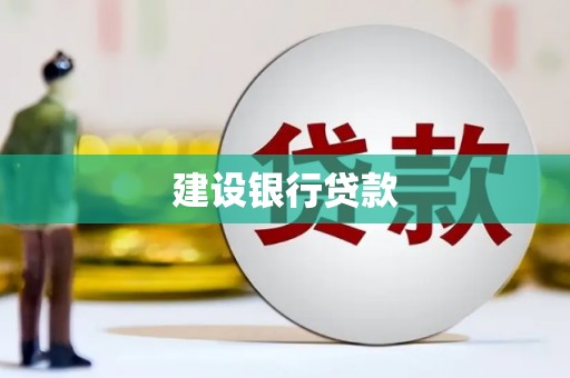 民丰建设银行贷款