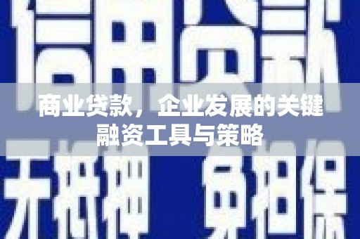民丰商业贷款，企业发展的关键融资工具与策略