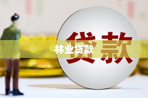 民丰林业贷款