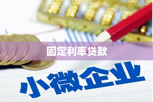 民丰固定利率贷款