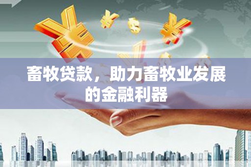 民丰畜牧贷款，助力畜牧业发展的金融利器