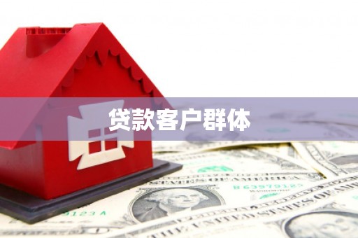 民丰贷款客户群体