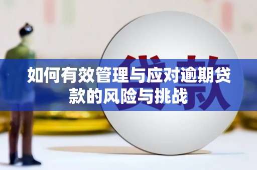 民丰如何有效管理与应对逾期贷款的风险与挑战