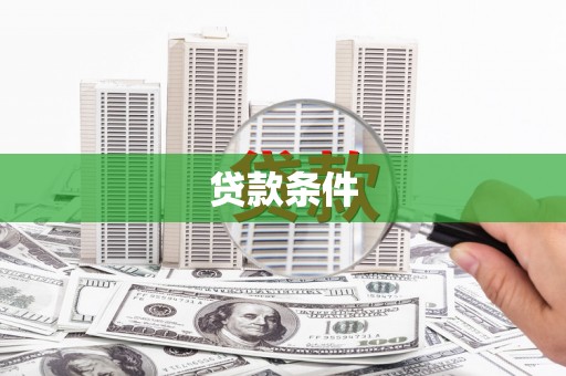 民丰贷款条件