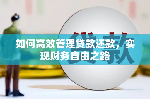 民丰如何高效管理贷款还款，实现财务自由之路