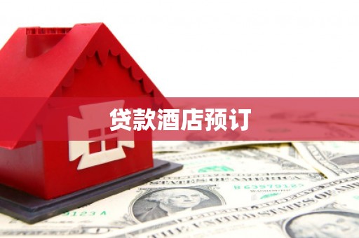民丰贷款酒店预订