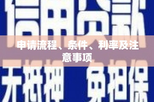 民丰申请流程、条件、利率及注意事项