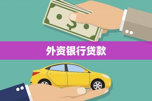 民丰外资银行贷款