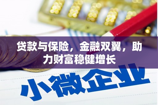 民丰贷款与保险，金融双翼，助力财富稳健增长