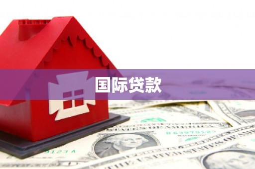 民丰国际贷款